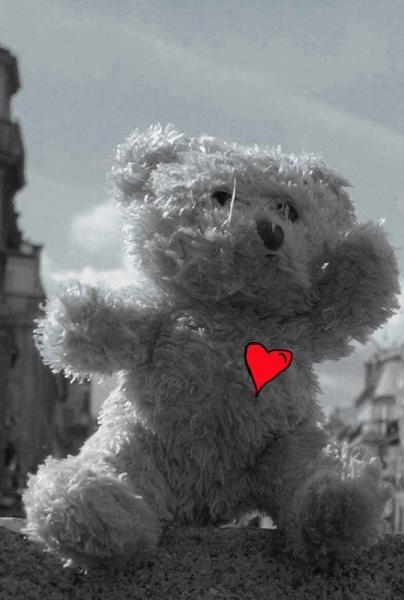amour amour